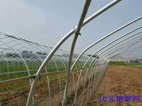 大棚斜撐、卡槽連接圖片